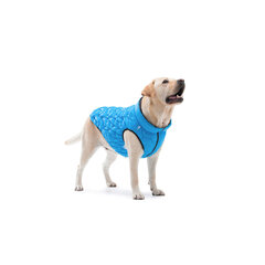 Koiran takki AiryVest, eri kokoja, sininen hinta ja tiedot | Koiran vaatteet | hobbyhall.fi
