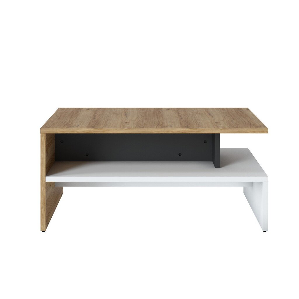 Sohvapöytä SALINAS 100x66xH46cm hinta ja tiedot | Sohvapöydät | hobbyhall.fi