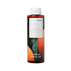 Suihkugeeli Grapefruit Sunrise (Body Cleanser) 250 ml hinta ja tiedot | Suihkusaippuat ja suihkugeelit | hobbyhall.fi