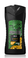 Axe Wild Green Mojito & Cedarwood suihkugeeli (vartalonpesuaine) 250 ml hinta ja tiedot | AXE Vartalonhoito | hobbyhall.fi