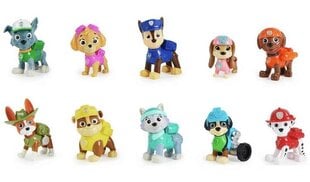 Figuurisarja Paw Patrol, 6065255 hinta ja tiedot | Poikien lelut | hobbyhall.fi