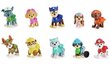 Paw Patrol all paws setti, 6065255 hinta ja tiedot | Poikien lelut | hobbyhall.fi