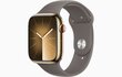 Apple Watch Series 9 GPS + Cellular 45mm Gold Stainless Steel Case with Clay Sport Band - M/L MRMT3ET/A hinta ja tiedot | Älykellot | hobbyhall.fi