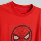 Neule Cool Club Spider Man LCB2711464, punainen hinta ja tiedot | Poikien puserot, liivit ja jakut | hobbyhall.fi