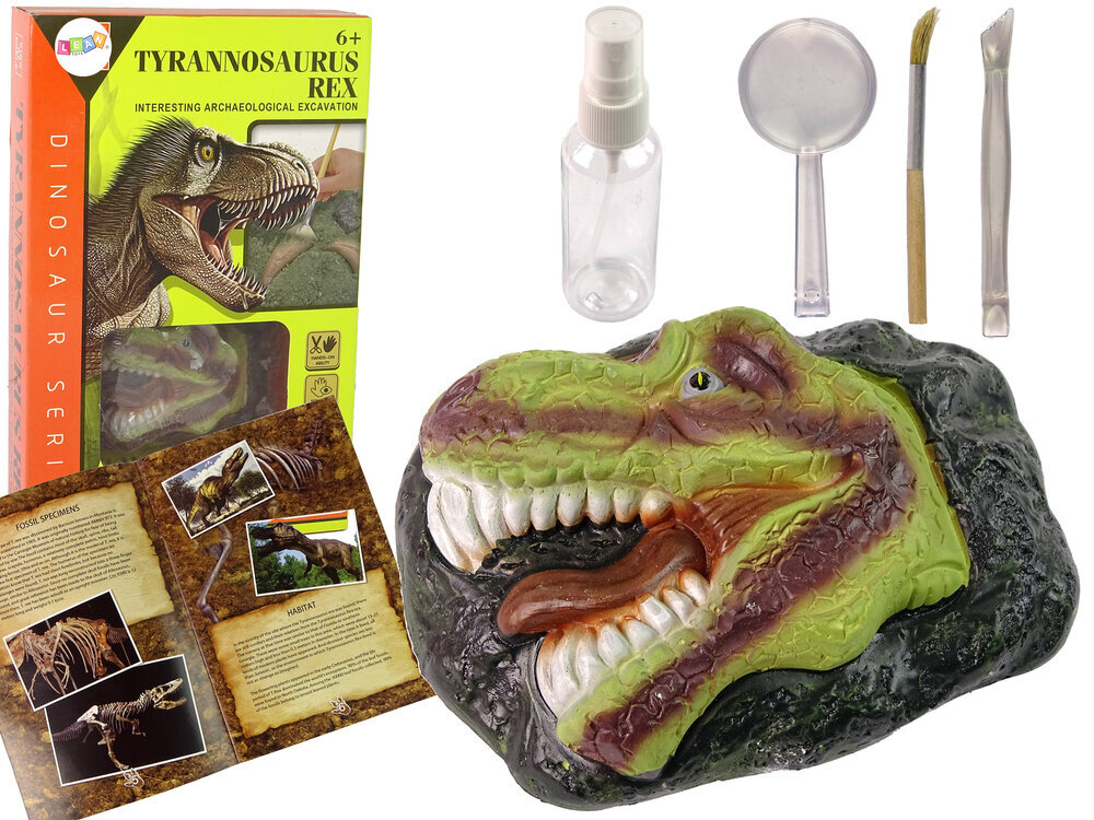 Kaivaussetti, Tyrannosaurus hinta ja tiedot | Kehittävät lelut | hobbyhall.fi