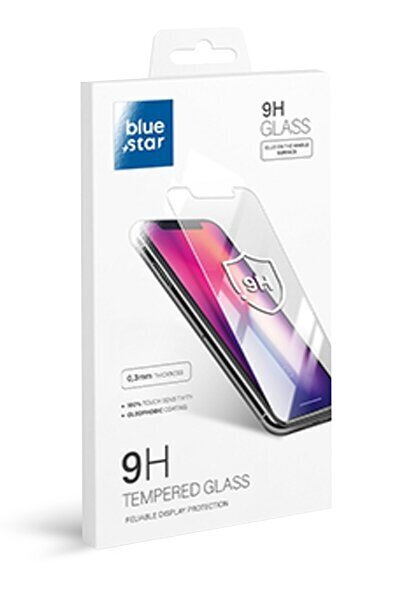 Blue Star - iPhone 14 Pro Max hinta ja tiedot | Näytönsuojakalvot ja -lasit | hobbyhall.fi