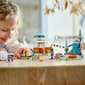 41760 LEGO® Friends Igluseikkailu hinta ja tiedot | LEGOT ja rakennuslelut | hobbyhall.fi