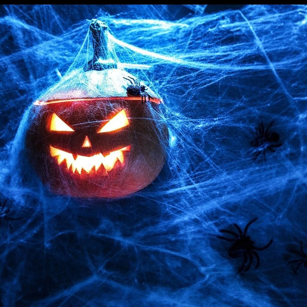 Halloween koristeverkko valkoinen, 200 grammaa, 4 mustaa hämähäkkiä hinta ja tiedot | Juhlakoristeet | hobbyhall.fi