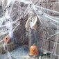 Setti Halloween-koristeita 10 hämähäkkiä, 300 gr, valkoinen verkko hinta ja tiedot | Juhlakoristeet | hobbyhall.fi