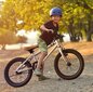 BMX-pyörä Aoli 20", harmaa hinta ja tiedot | Polkupyörät | hobbyhall.fi