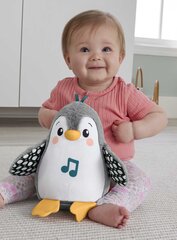 Pingviini Fisher Price hinta ja tiedot | Vauvan lelut | hobbyhall.fi