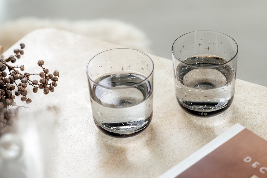 Lasi Like by Villeroy & Boch Winter Glow Water glass, 2 kpl hinta ja tiedot | Lasit, mukit ja kannut | hobbyhall.fi