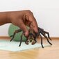 Hämähäkkihahmo Aragog Schleich Wizarding World hinta ja tiedot | Poikien lelut | hobbyhall.fi