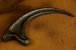 Jurassic Park Replica 1/1 Raptor Claw hinta ja tiedot | Pienoismallit | hobbyhall.fi