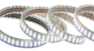 LED-nauha Tamoline, 10m hinta ja tiedot | Tamoline Kodin remontointi | hobbyhall.fi