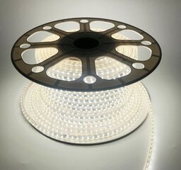 LED-nauha Tamoline, 50m hinta ja tiedot | LED-valonauhat | hobbyhall.fi