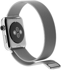 4wrist Teräs Milan Pull Apple Watchille - hopea 42/44/45 mm hinta ja tiedot | 4wrist Älykellot ja aktiivisuusrannekkeet | hobbyhall.fi