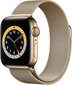 4wrist Teräs Milan Pull Apple Watchille - Kulta 38/40/41 mm hinta ja tiedot | Älykellojen ja aktiivisuusrannekkeiden lisätarvikkeet | hobbyhall.fi