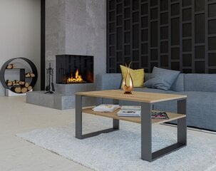 Sohvapöytä Modern 1P, ruskea/harmaa hinta ja tiedot | Sohvapöydät | hobbyhall.fi