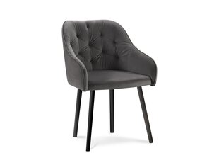 2 tuolin setti Milo Casa Luisa, tummanharmaa hinta ja tiedot | Ruokapöydän tuolit | hobbyhall.fi