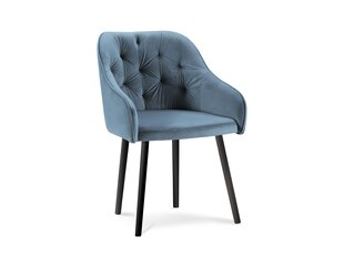 2 tuolin setti Milo Casa Luisa, sininen hinta ja tiedot | Ruokapöydän tuolit | hobbyhall.fi