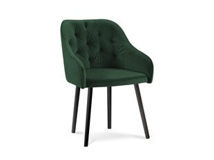 4 tuolin setti Milo Casa Luisa, vihreä hinta ja tiedot | Ruokapöydän tuolit | hobbyhall.fi