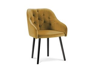 4 tuolin setti Milo Casa Luisa, keltainen hinta ja tiedot | Ruokapöydän tuolit | hobbyhall.fi