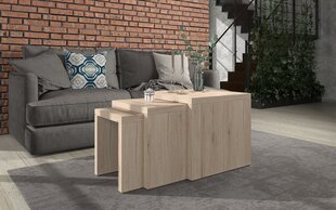 3 pöydän setti ADRK Furniture Basel, tammi hinta ja tiedot | Sohvapöydät | hobbyhall.fi