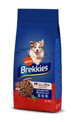 Brekkies Excel Dog naudanlihalla, 20 kg hinta ja tiedot | Brekkies Lemmikit | hobbyhall.fi