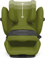 Cybex turvaistuin Pallas G i-Size, 9-36 kg, Nature Green hinta ja tiedot | Turvaistuimet | hobbyhall.fi