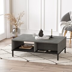 Sohvapöytä, Asir, 90x32x60 cm, harmaa hinta ja tiedot | Sohvapöydät | hobbyhall.fi