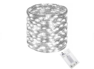 Garlianda 100 mikron LED 10,2 m, valkoinen, IP44. hinta ja tiedot | Jouluvalot | hobbyhall.fi