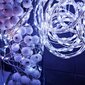 Garlianda 100 mikron LED 10,2 m, valkoinen, IP44. hinta ja tiedot | Jouluvalot | hobbyhall.fi