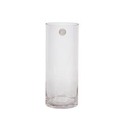 Maljakko IN HOME D12xH30cm, läpinäkyvä lasi hinta ja tiedot | Maljakot | hobbyhall.fi