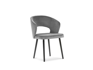 2 tuolin sarja Windsor and Co Elpis, harmaa hinta ja tiedot | Ruokapöydän tuolit | hobbyhall.fi