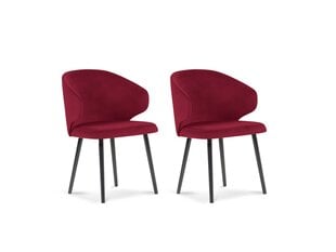 2 tuolin setti Windsor and Co. Nemesis, punainen hinta ja tiedot | Ruokapöydän tuolit | hobbyhall.fi