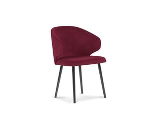 2 tuolin setti Windsor and Co. Nemesis, punainen hinta ja tiedot | Ruokapöydän tuolit | hobbyhall.fi