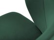 Tuoli, Windsor and Co. Elpis, vihreä hinta ja tiedot | Ruokapöydän tuolit | hobbyhall.fi