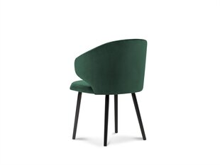 Tuoli Windsor and Co. Nemesis, vihreä hinta ja tiedot | Ruokapöydän tuolit | hobbyhall.fi