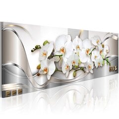 Kuva - Orchids II hinta ja tiedot | Taulut | hobbyhall.fi