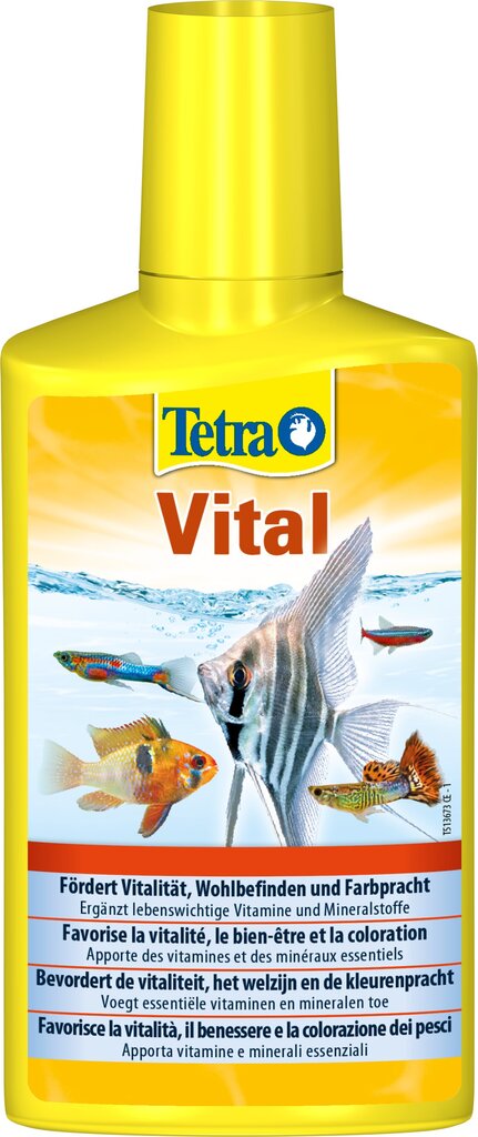 Mineraalikompleksi akvaarioille Tetra Vital, 250 ml hinta ja tiedot | Akvaariotarvikkeet | hobbyhall.fi