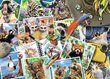 Ravensburger Puzzle Traveler S Animal Journal 1000pc 17322 hinta ja tiedot | Palapelit | hobbyhall.fi