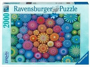 2D Puzzle 2000 osaa Rainbow Mandalas hinta ja tiedot | Palapelit | hobbyhall.fi