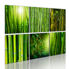 Kuva - Bamboo has many faces hinta ja tiedot | Taulut | hobbyhall.fi