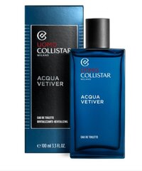 Collistar Vetiver EDT miehille, 100 ml hinta ja tiedot | Collistar Hajuvedet ja tuoksut | hobbyhall.fi