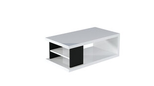 Sohvapöytä Lenea, 110x60cm, valkoinen hinta ja tiedot | Sohvapöydät | hobbyhall.fi