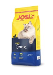Josera JosiCat Crispy Duck aikuisille kissoille rapean ankan kera, 1,9 kg hinta ja tiedot | Kissan kuivaruoka | hobbyhall.fi