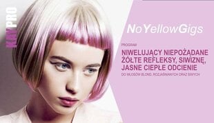 Keltaisia ​​sävyjä neutraloiva shampoo värjätyille hiuksille KayPro AntiYellowGigs, 350 ml hinta ja tiedot | Kaypro Hajuvedet ja kosmetiikka | hobbyhall.fi