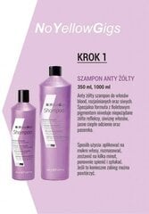 KayPro AntiYellowGigs, neutraloiva shampoo värjätyille hiuksille, 1000 ml hinta ja tiedot | Kaypro Hajuvedet ja kosmetiikka | hobbyhall.fi