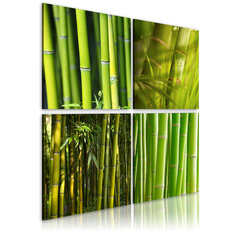 Image of Kuva - Bambu